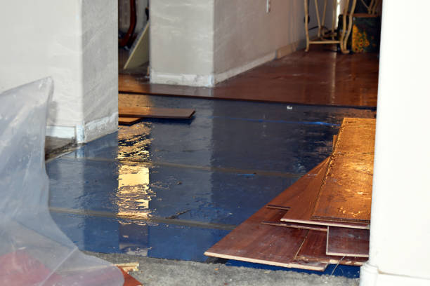 Professional Water Extraction technician working in Westhoff, TX